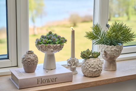 Kunstige sukkulenter i hvid keramik fra Speedtsberg