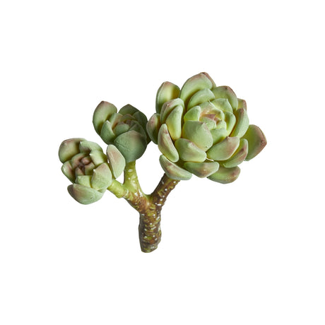 Husløg med 3 hoveder 13 cm høj kunstig sukkulent fra Speedtsberg