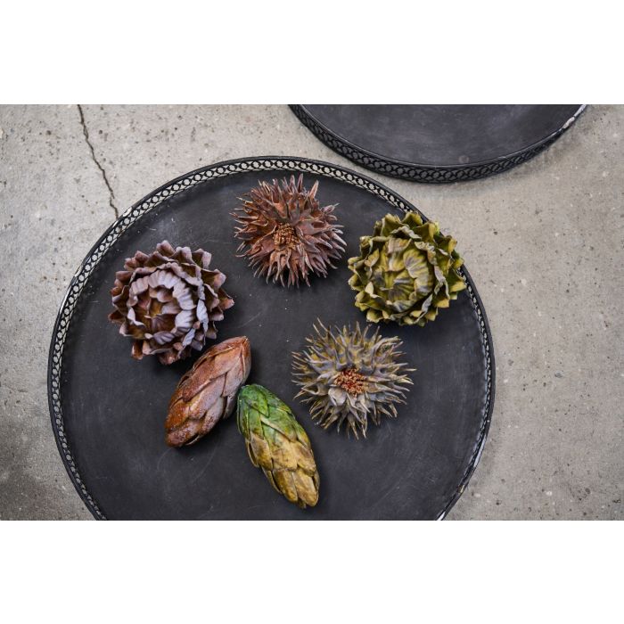 Protea blomsterhoved 13 cm langt