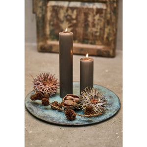 Protea blomsterhoved 13 cm langt