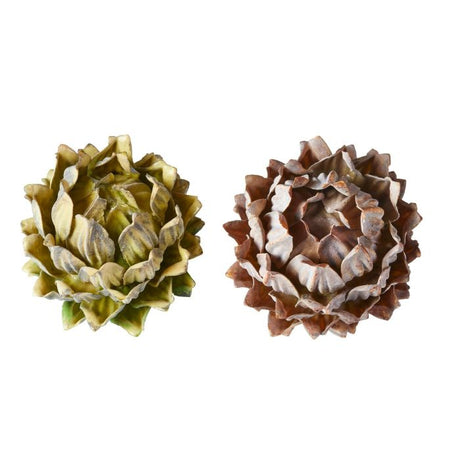 Protea blomsterhoved 12 cm i dia