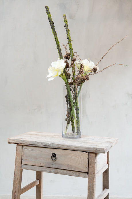 Cylinderglasvase med amaryllis, koglegrene og mosgrene i