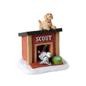 Scouts Home
