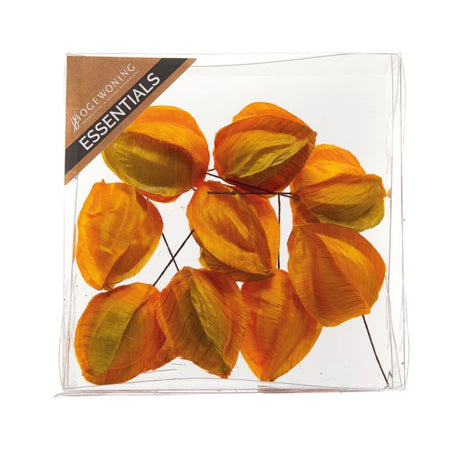Kinesiske lygter orange
