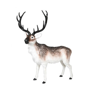 Rensdyr 144 cm høj