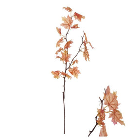 Gren med okkergule ahornblade