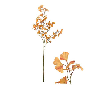 Ginkgo gren gul