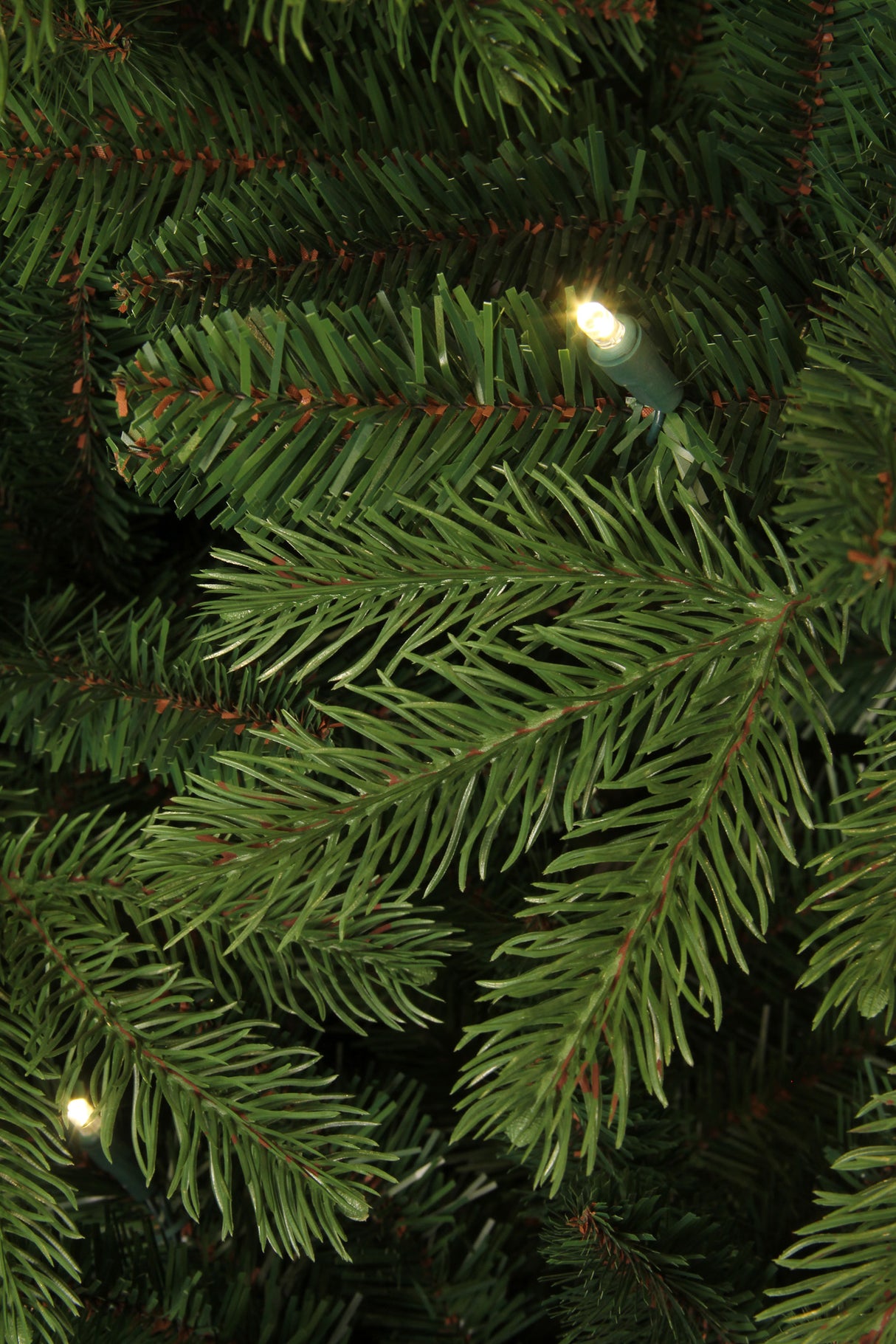 LED-lysene på Brampton kunstigt juletræ med lys 185 cm højt