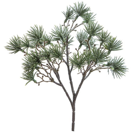 Lærkegren med sne 20 cm høj