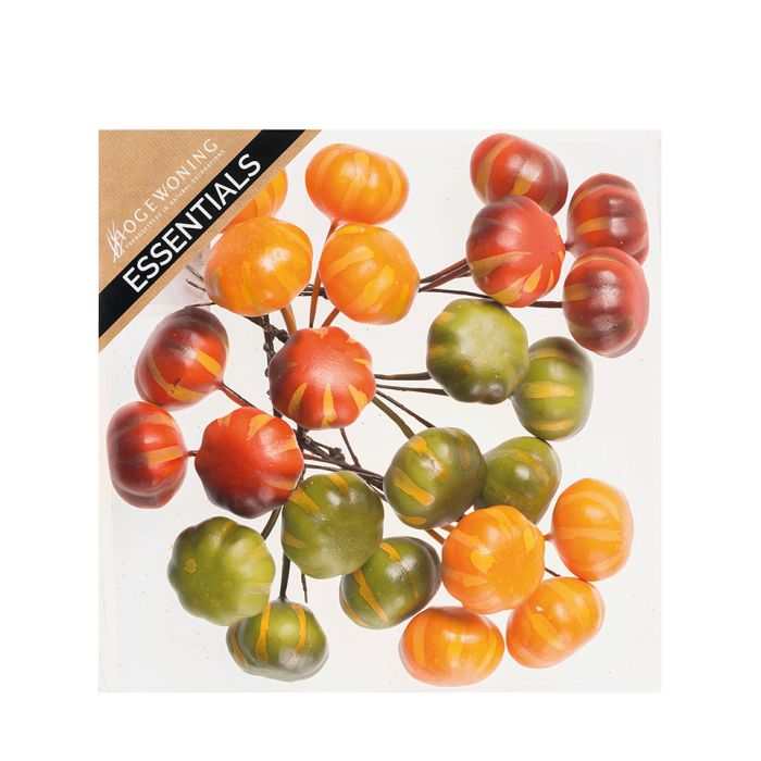 Græskar på wire små