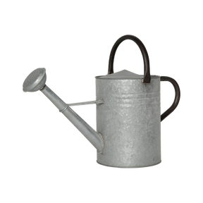 Vandkande med spreder 11 l zink