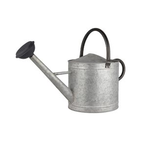 Vandekande i zink 9l