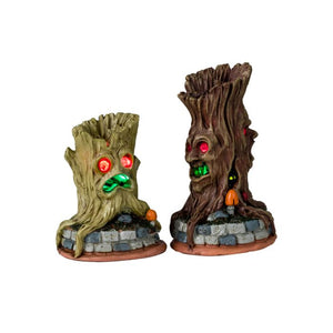 Spooky Tree Trunks