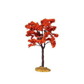 Yellowwood Tree Medium