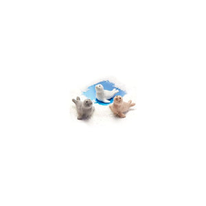Sæl