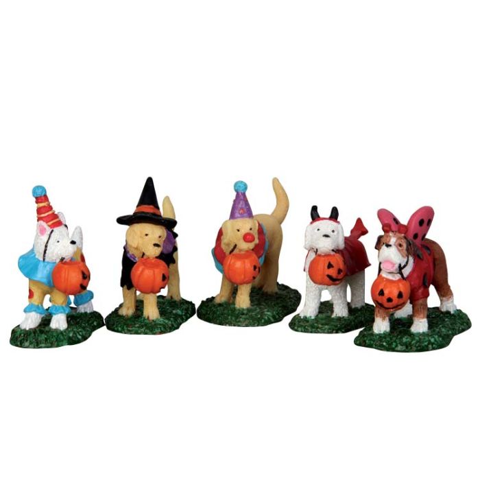 Trick Or Treating Dogs Set Of 5