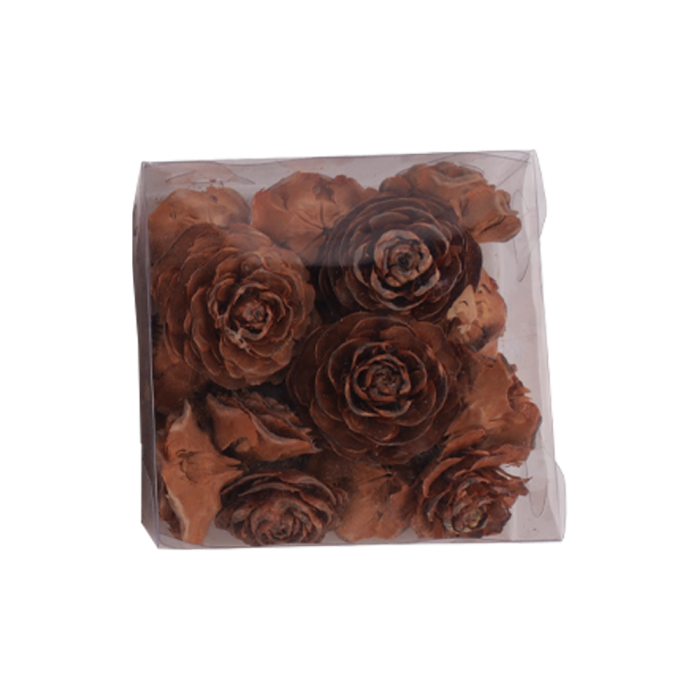 Kogleroser cedertræ med wire til dekorationer i natur