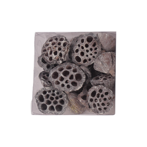 Lotusskaller med frostet look