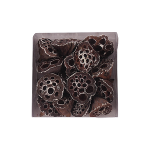 Lotusskaller med lidt hvidt sne