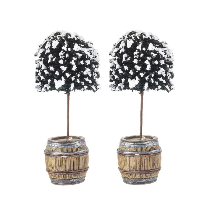 Opstammet buskbom i tønde 2-pak