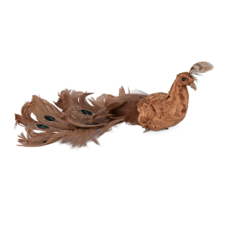 Påfugl guldfarvet