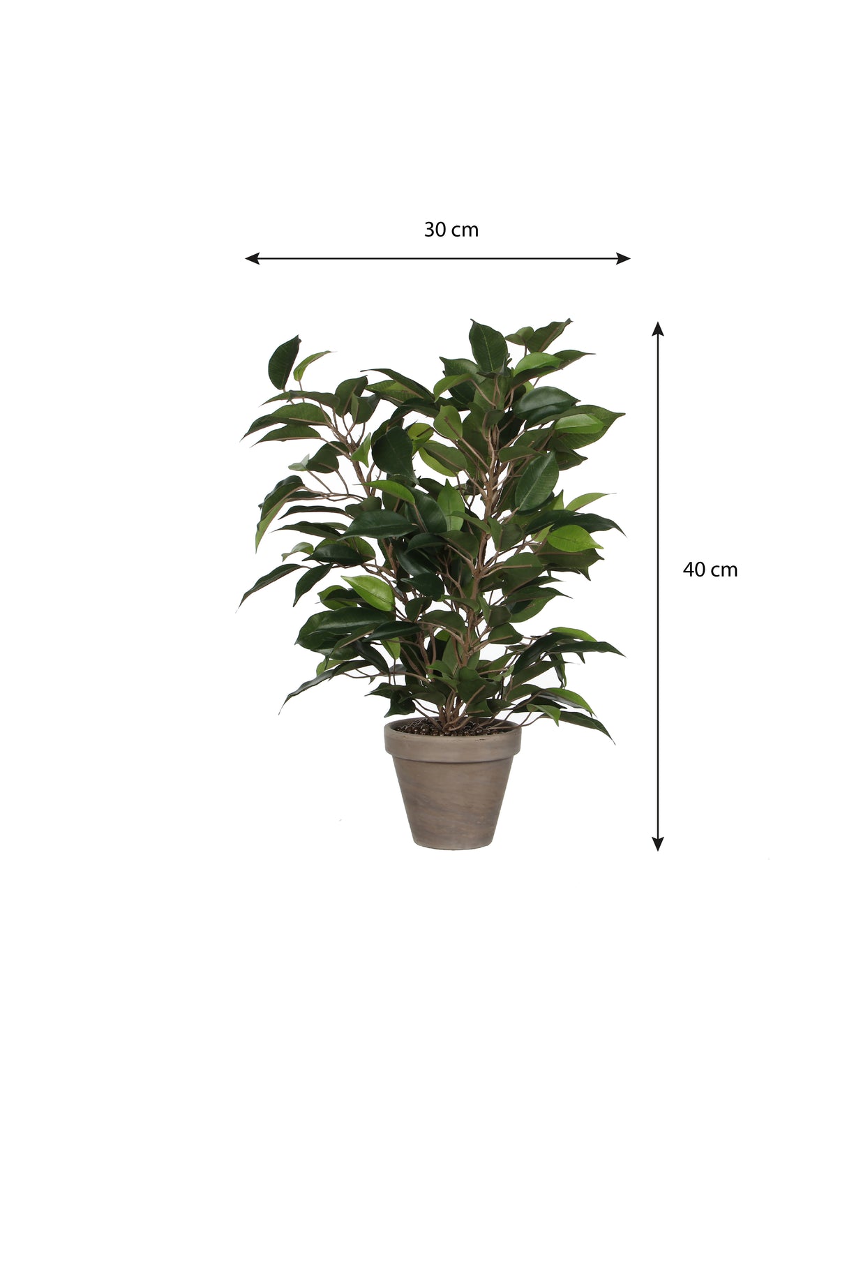 Ficus Natasja plante kunstig fra Mica Decorations med mål på