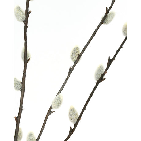 Kunstig gæslingegren fra House Doctor set tæt på