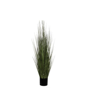Græsser 122 cm høj