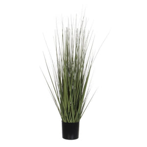 Græsser 92 cm høj