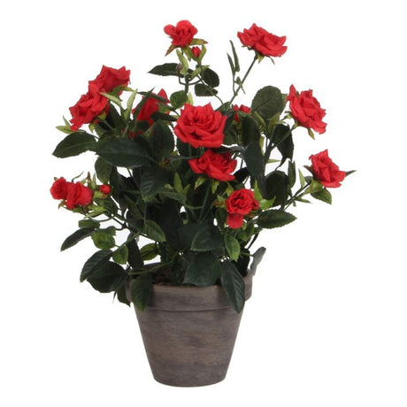 Rose rød fyldig 33 cm høj.
