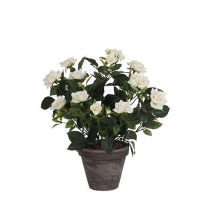 Rose hvid 33 cm høj