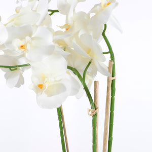 Stilke med hvide kunstige orkidéblomster set tæt på
