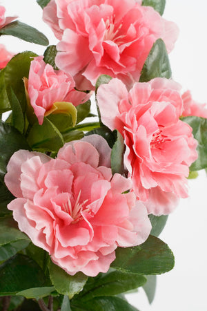 Ferskenfarvede kunstige azalea blomsterhoveder