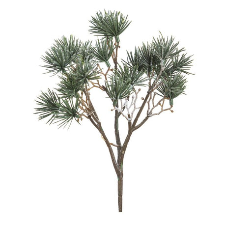 Lærkegren med sne 45 cm høj