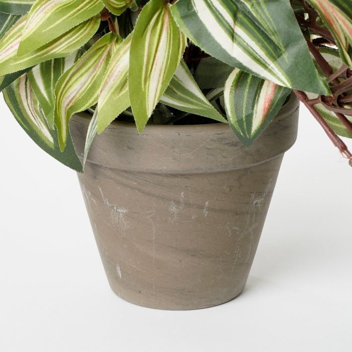Tradescantia kunstig hængeplante