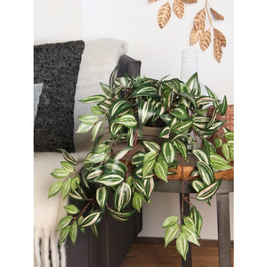 Tradescantia kunstig hængeplante
