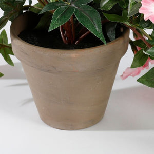 Hængepetunia lyserød