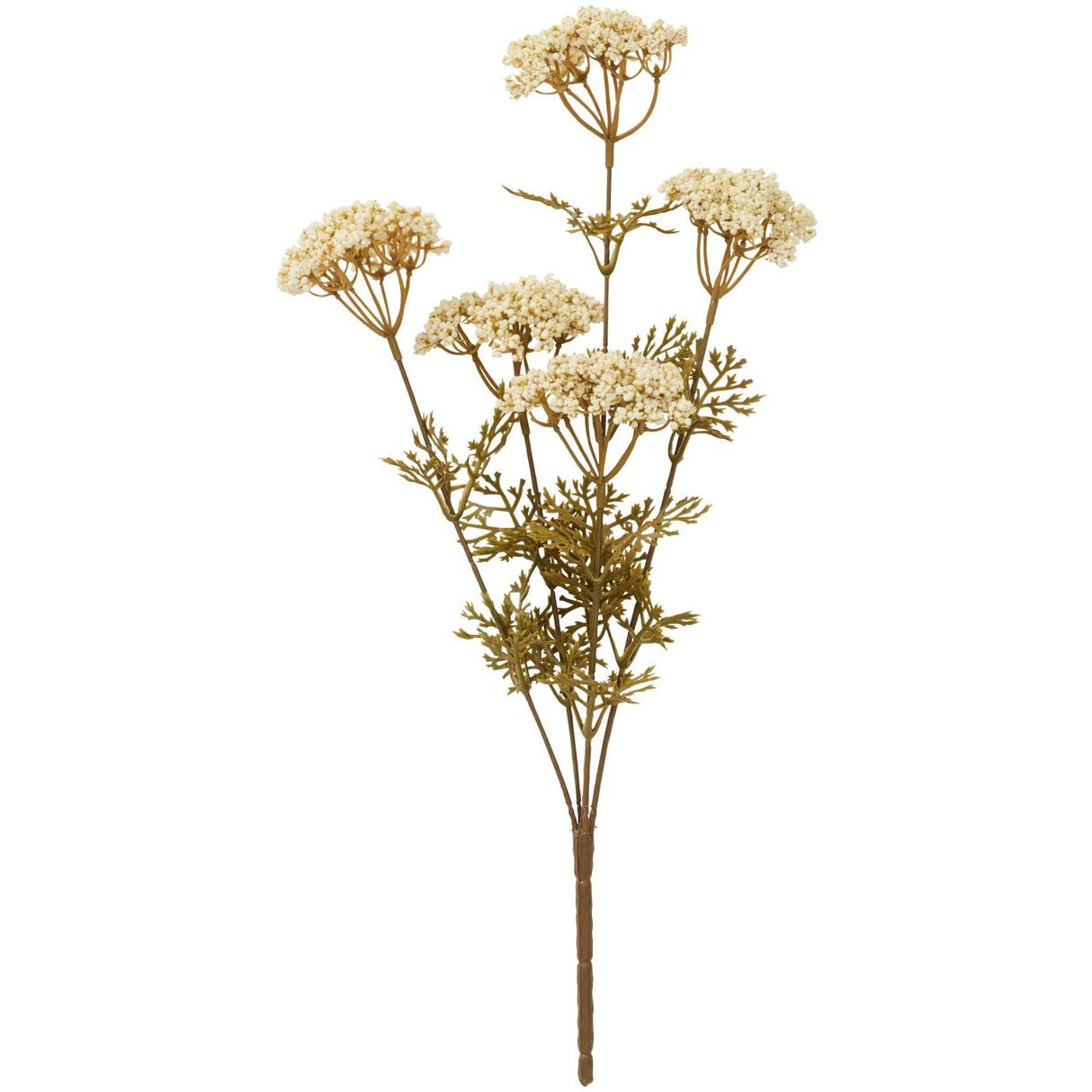 Blomsterstilk med 5 hvide skærmblomster fra Ib Laursen