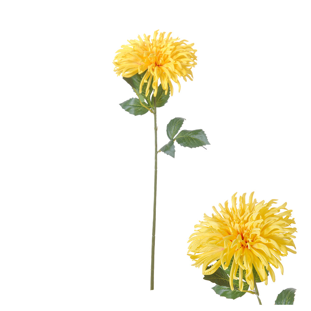 Gul Flower Stem Chrysanthemum