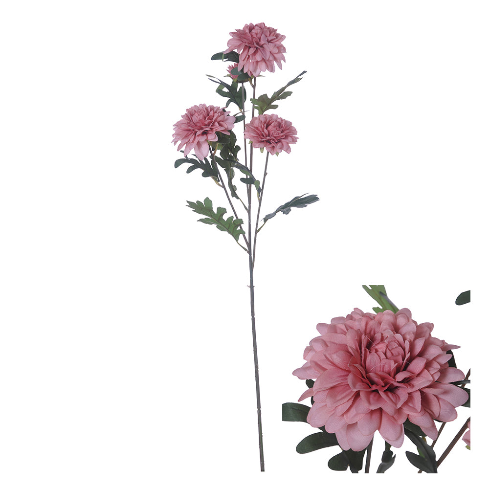 Pinh Flower