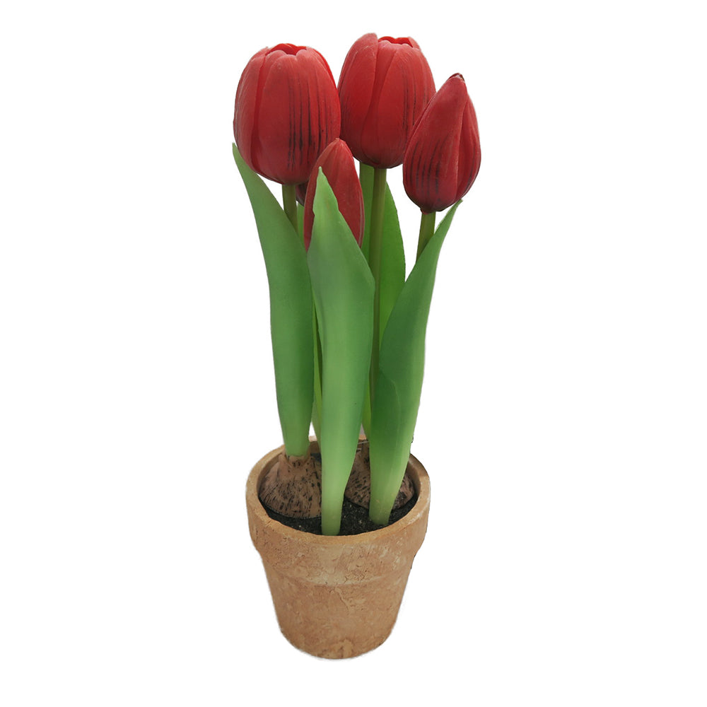 Rød Tulip in Pot 25