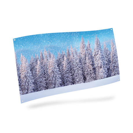 Baggrund med snedækket skov