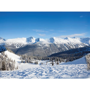 Baggrund Whistler 78 x 58 cm