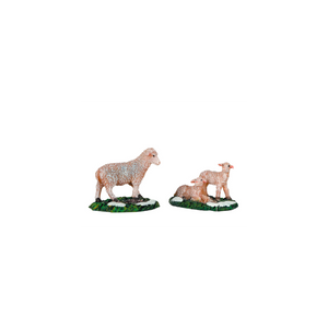 Luville Får og lam