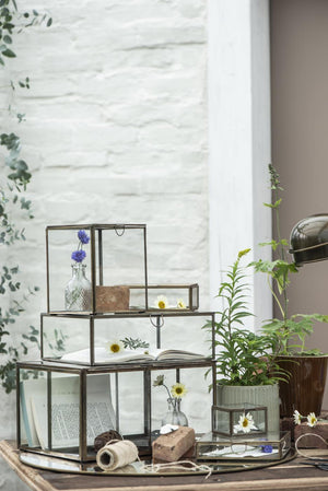 Solitaire glasæske fra Ib Laursen som dekorativ opbevaring på en reol med planter og andre boligting