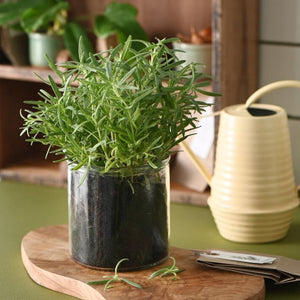 Ib Laursen Olivia skærebræt i oliventræ med rosmarinplante