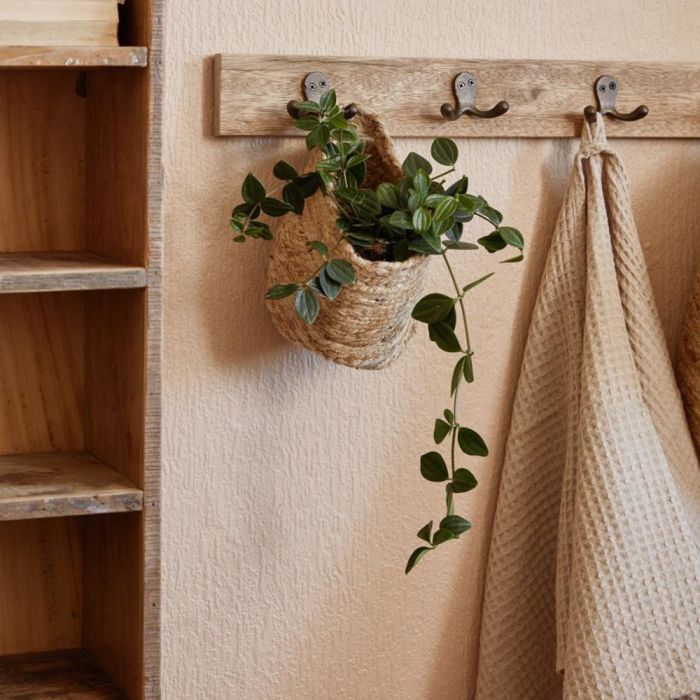 Ib Laursen Unika knagerække med 5 knager i genbrugstræ med plante i kurv