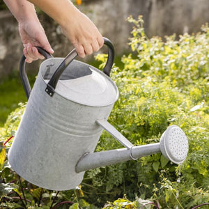 Vandkande med spreder 11 l zink