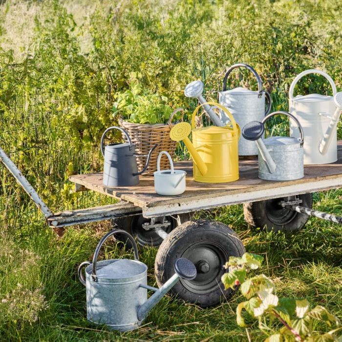 Vandkande med spreder 11 l zink