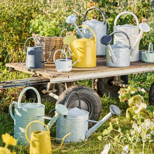 Vandekande i zink 9l